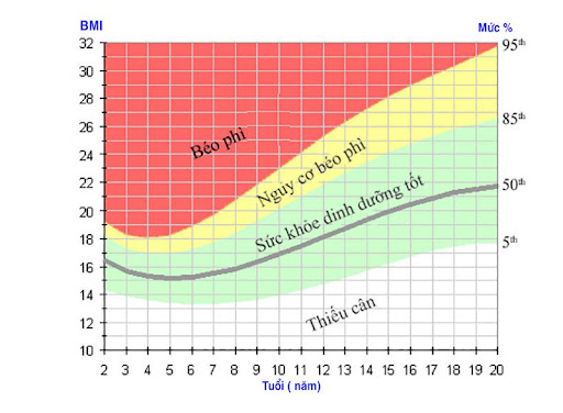 Tổ chức WHO đã quy định về BMI (Body Mass Index) - một chỉ số đánh giá xem một trẻ 10 tuổi có đang ở mức cân nặng bình thường hay không